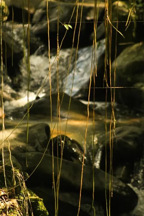 Recanto Aguas Do Quiriri Garuva